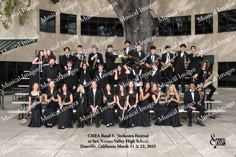 Musical Images